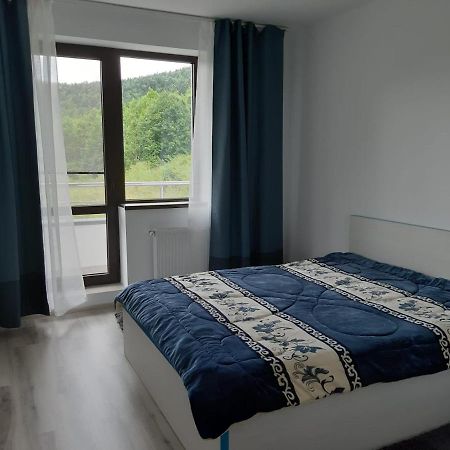 Dorin Colina Marei Apartment Sinaia Bagian luar foto