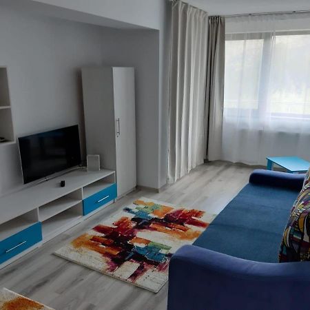 Dorin Colina Marei Apartment Sinaia Bagian luar foto