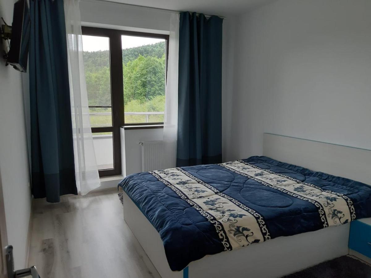 Dorin Colina Marei Apartment Sinaia Bagian luar foto