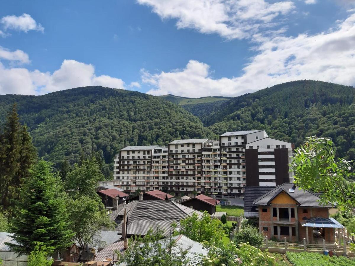 Dorin Colina Marei Apartment Sinaia Bagian luar foto