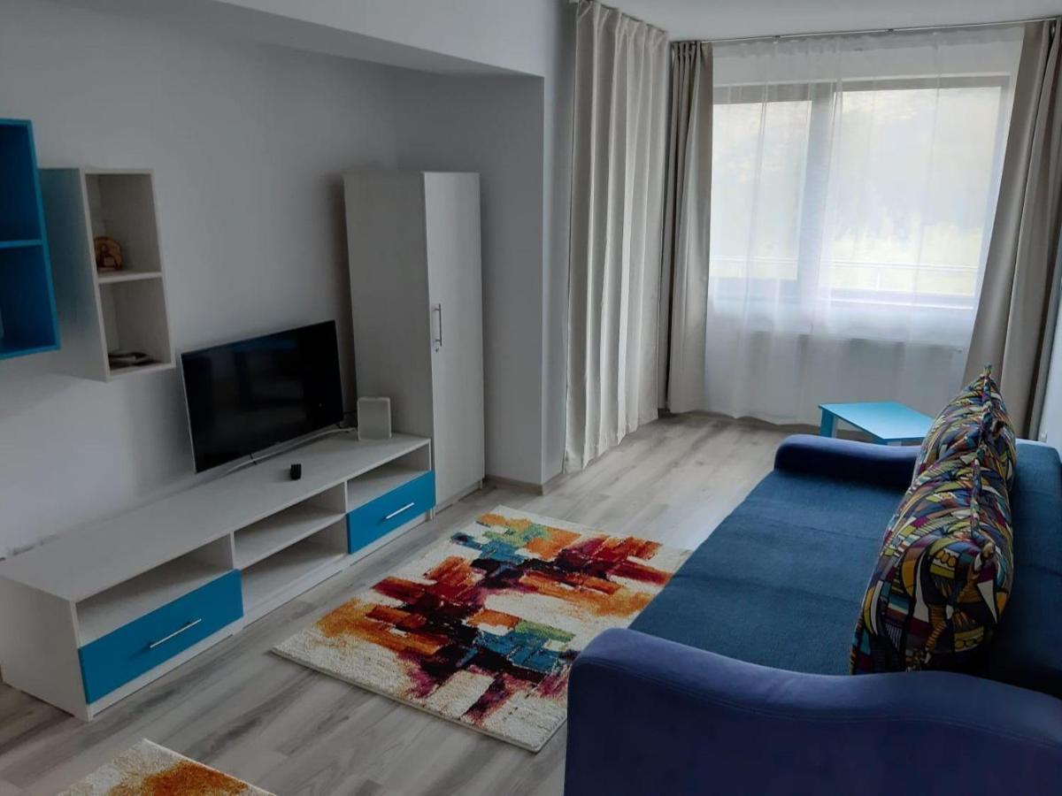 Dorin Colina Marei Apartment Sinaia Bagian luar foto